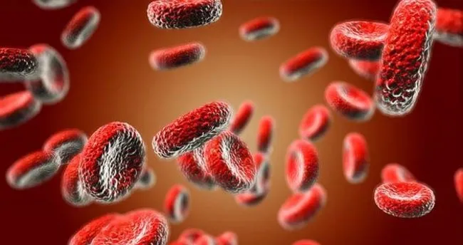 Kansizliga Ne Iyi Gelir Ve Nasil Gecer Kansizliga Iyi Gelen Seyler Dogal Ve Bitkisel Tedavi Cozumleri Nelerdir Son Dakika Haberler