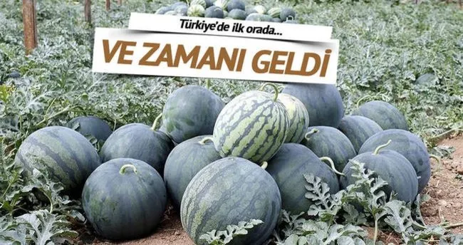 Ilk Karpuz Hasadi Antalya Da Basladi Ekonomi Haberleri