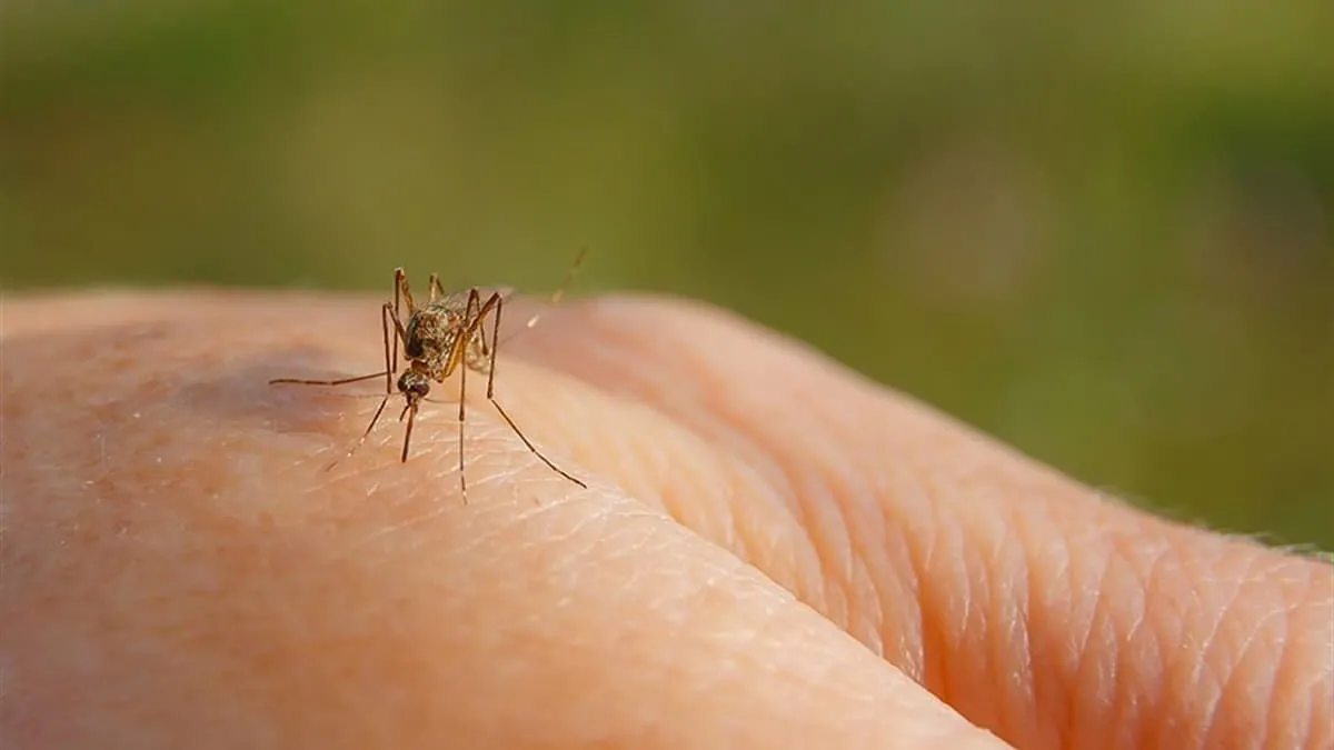 Çin'de yeni salgın alarmı: Guangdong virüsü binlerce kişiye bulaştı!