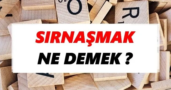 Sırnaşmak Ne Demek? TDK’ya Göre Sırnaşmak Sözlük Anlamı Nedir?
