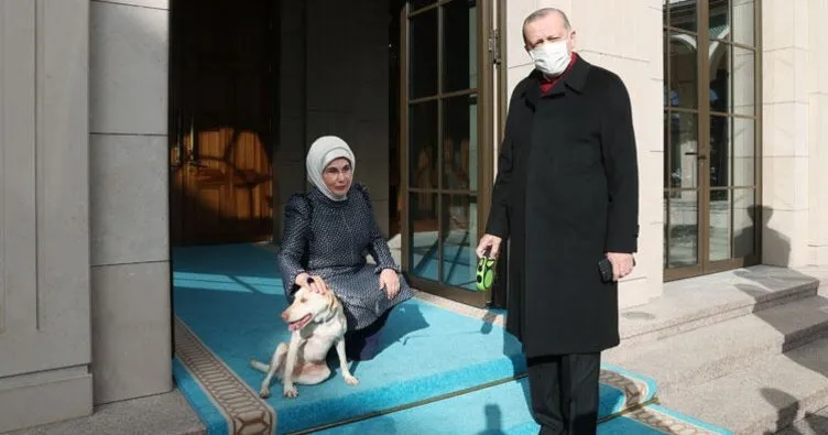 Emine Erdoğan, Cumhurbaşkanı Erdoğan’ı Leblebi ile birlikte uğurladı