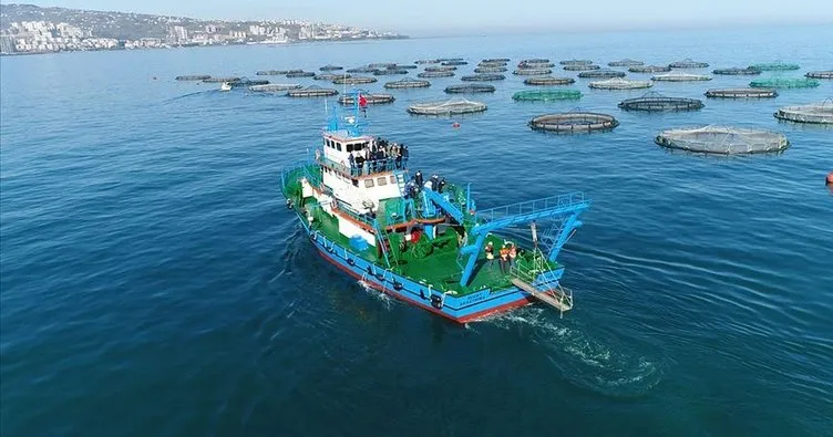 Karadeniz’in en çok ihracat gerçekleştiren ili Trabzon