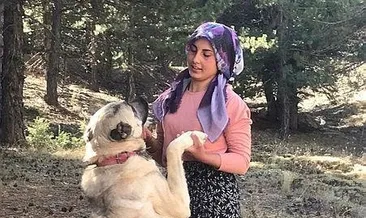 Azim, başarı, gurur: Çobanlık yaparken ders çalışıp tıp fakültesini kazandı