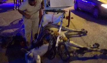 ’Faytonlar kaldırılsın’