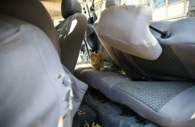 FETÖ'cü hainler 15 Temmuz gecesi polis araçlarını bu hale getirdi