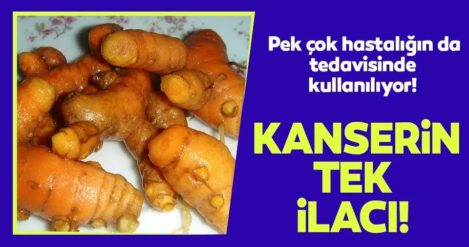 Kansere Karsi Zerdecal Mucizesi Saglik Haberleri