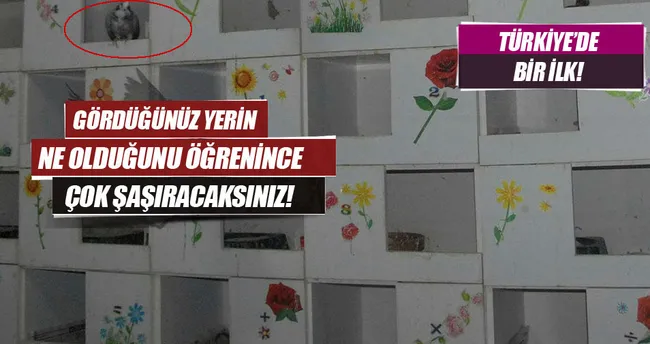Türkiye’de bir ilk: Güvercinler için otel!