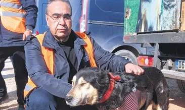 Enkazdan çıkarılan köpeğe protez ayak