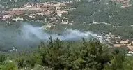 Adana’da orman yangını