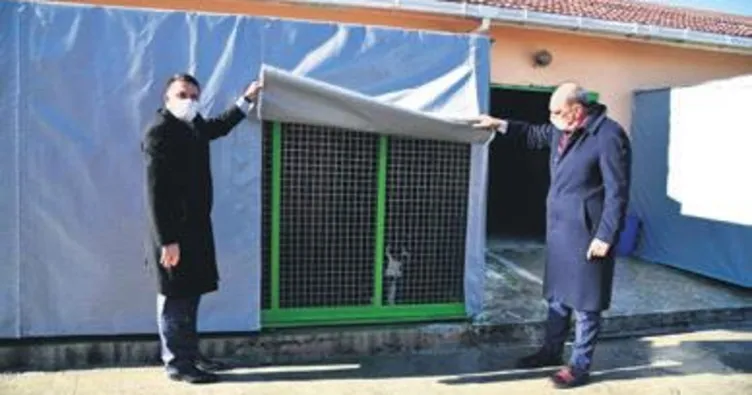 Hayvan barınağında kış bakımı yapıldı