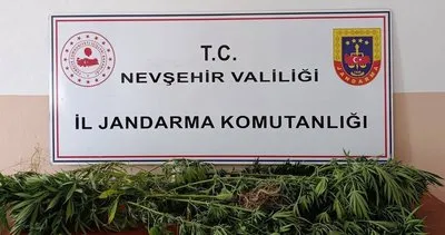 Ürgüp’te zehir tarlası ortaya çıktı #nevsehir