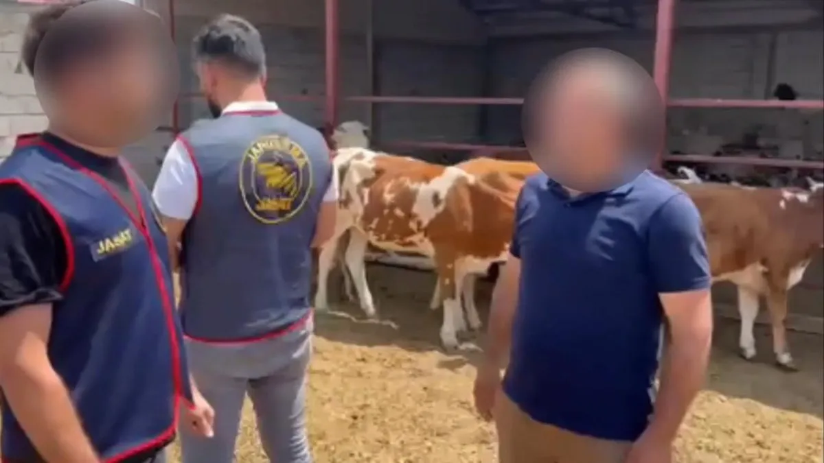 Kars’ta hayvan hırsızlarına eş zamanlı operasyon! 2 tutuklama