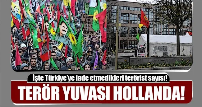 Türkiye’den kaçan teröristlerin sığınağı: Hollanda