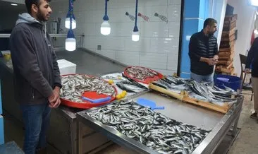 Balık sezonuna fırtına engeli: Fiyatlar 40 liraya çıktı