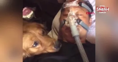 Çin’de köpeğin hasta sahibine olan vefası duygulandırdı | Video