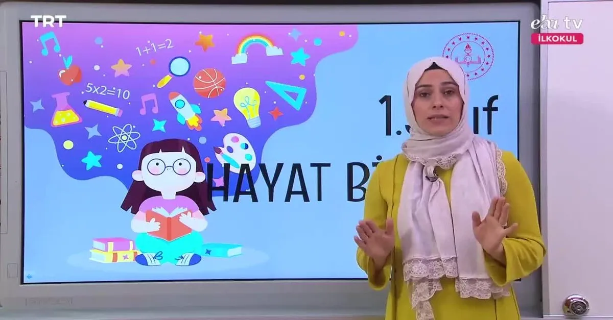Eba Tv 1 Sinif Hayat Bigisi Konu Guvenli Alanlar Videosunu Izle Sabah Tv