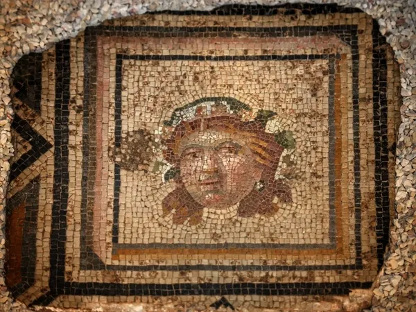 abdden-iade-edilen-zeugma-mozaik-paneli-evine-kavustu-bakan-ersoy-tarih-sayfalarindaki-bosluklari-dolduruyoruz-1784020315922.jpeg