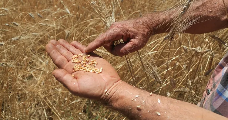 İsrail’den tek bir tohum dahi almıyoruz