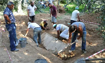 Zeytin tarlası lahit müzesi olacak