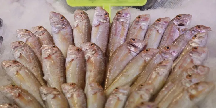 Kızıldeniz’den Akdeniz’e geldi: İstilacı balıklar kazanç kaynağı oldu!