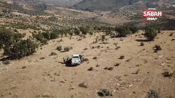 Adıyaman’da kaçak avcılar dron ile böyle kovalandı | Video