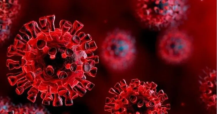 5 Kasım koronavirüs tablosu son dakika duyuruldu! Sağlık Bakanlığı 5 Kasım korona tablosu ile güncel Türkiye vaka - vefat sayıları