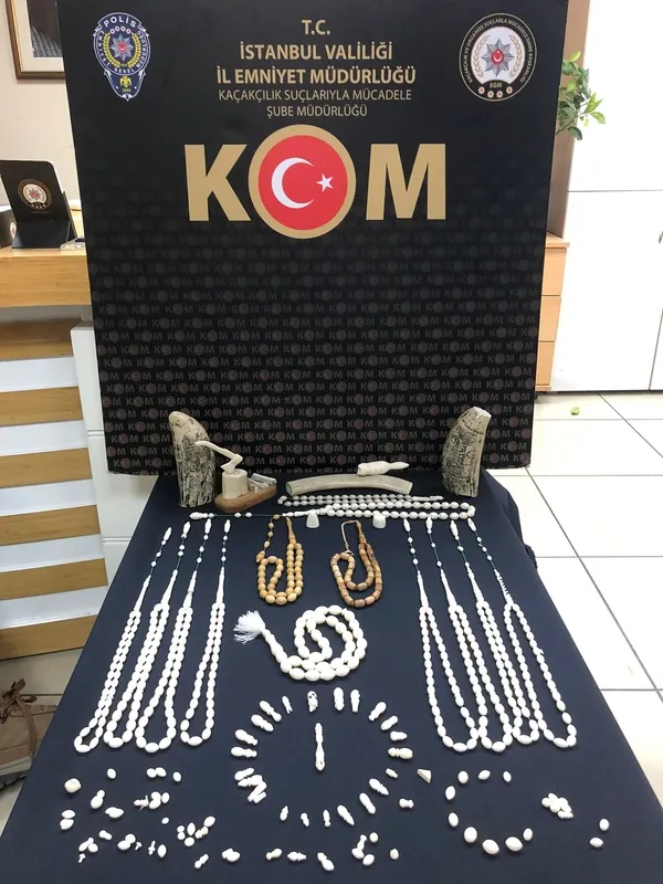 kacak-fil-dislerine-pazarlikli-sucustu-1636880796565.jpg