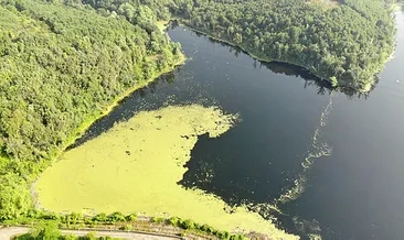 Elmalı barajında korkutan görüntü!