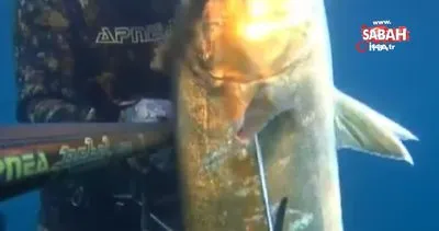 Rekortmen dalgıç, Çanakkale’de dev balığı böyle avladı!
