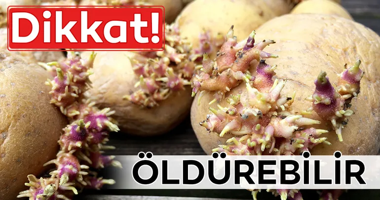 Dikkat! Filizlenen patates öldürebilir