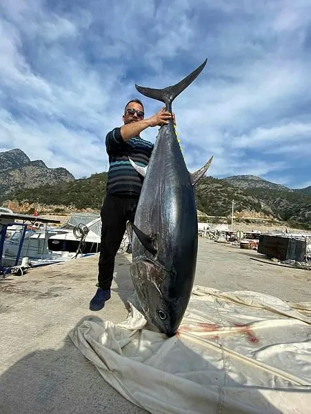 Antalya'da oltaya gelen balığı görünce gözlerine inanamadılar! Tekneyi tam bir 1 saat sürükledi