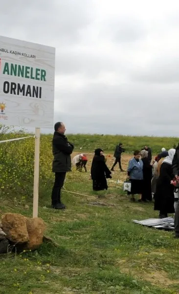 Filistinli annelerin anısına İstanbul’da fidanlar toprakla buluştu