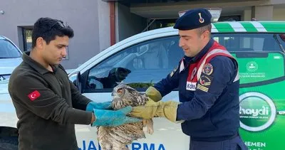 Jandarmadan yaralı puhuya şefkat eli 