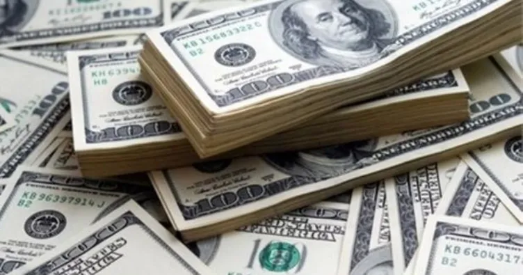 Hükümetten ’döviz’ açıklaması