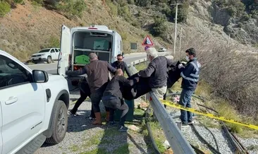 Genç kadını boğup yol kenarına attılar
