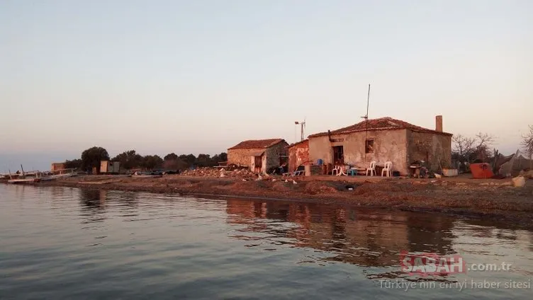 ’Yerli Robinsonlar’ 15 yıldır adada yaşıyor... Burası Balıkesir!