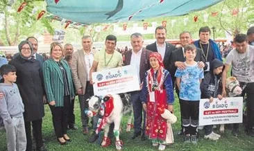 Bigadiç’in en güzel buzağısı seçildi