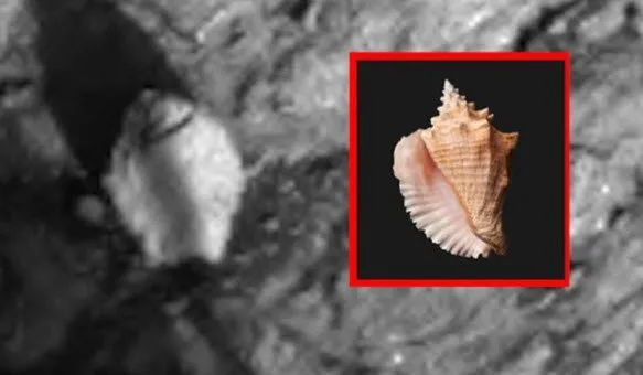 Mars'taki esrarengiz objeler kafaları karıştırdı!