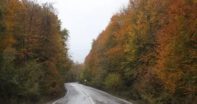 Bolu’da ağaçların renk cümbüşü #bolu Bolu’da ağaçların renk cümbüşü #bolu