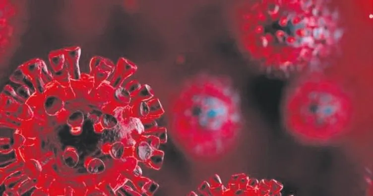 ‘Koronavirüs beyne ulaşıp hasara neden olabiliyor’