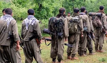 Terör örgütü PKK’nın sözde Karayazı-Eleşkirt grup sorumlusu öldürüldü