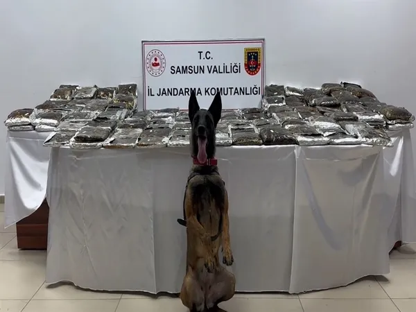 icisleri-bakanligi-duyurdu-samsunda-uyusturucu-madde-imalatcilarina-operasyon-132-kilo-toz-esrar-ele-gecirildi-1785576672702.jpg