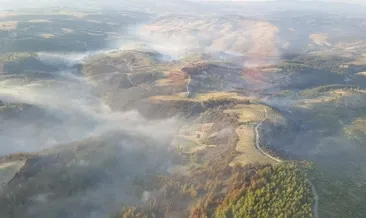 Manisa’daki orman yangını kontrol altına alındı