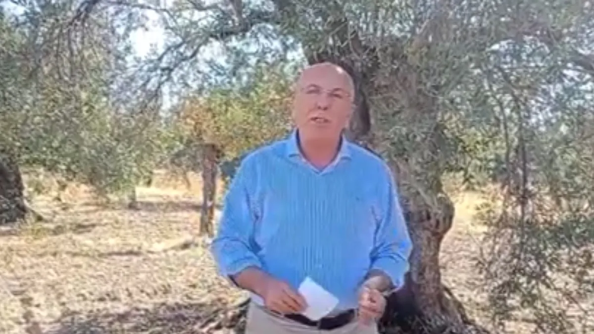 AK Partili OK, İYİ Partili Çömez’in yalanlarını ifşa etti: Devlet düşmanlığına dönüştü AK Partili OK, İYİ Partili Çömez’in yalanlarını ifşa etti: Devlet düşmanlığına dönüştü