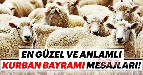 Resimli bayram mesajları burada: 2019 resimli Kurban Bayramı kutlama mesajları ve sözleri!
