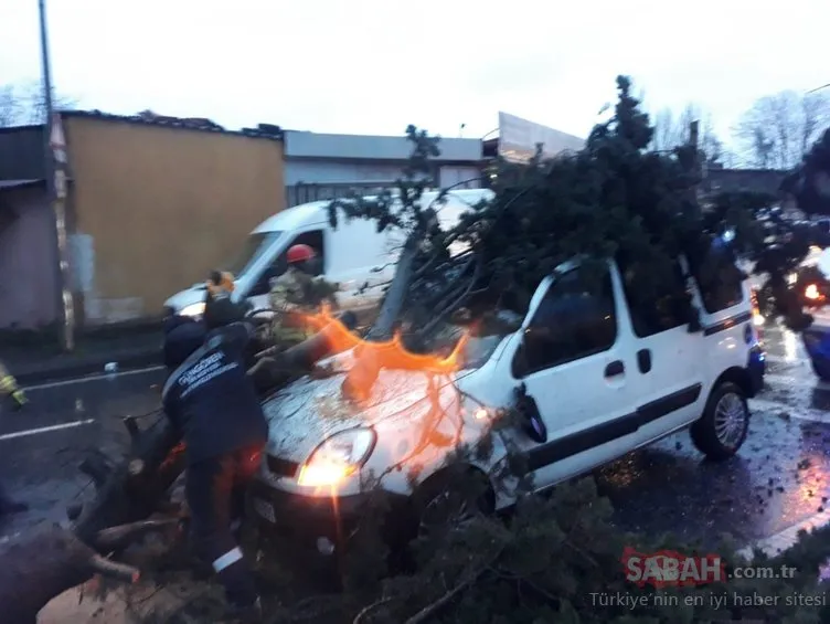 Son dakika: İstanbul’da gün boyu fırtına etkili oldu! Ağaç devrildi... Şoför yaralandı