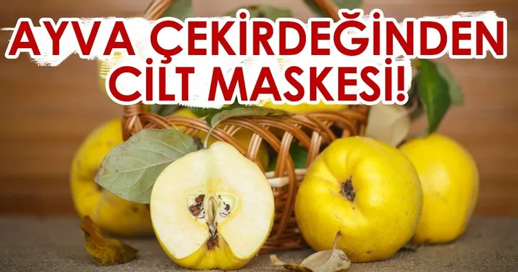 ayva cekirdeginin cilde faydalari nelerdir nasil surulur sayfa 2 kadin haberleri