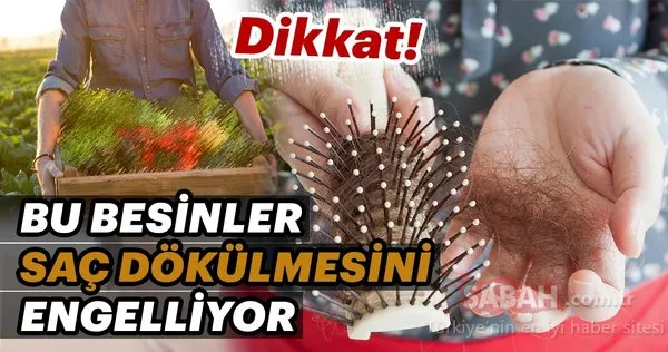 Bu besinler saç dökülmesini engelliyor!