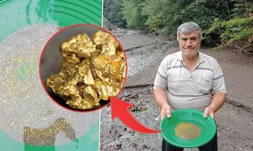 Duyan hayrete düşüyor! Dere dere gezip haftada 13 gram altın çıkarıyor #zonguldak