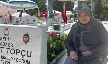 SON DAKİKA | Diyarbakır anneleri mutlu: Devletimiz büyüklüğünü gösterdi #diyarbakir